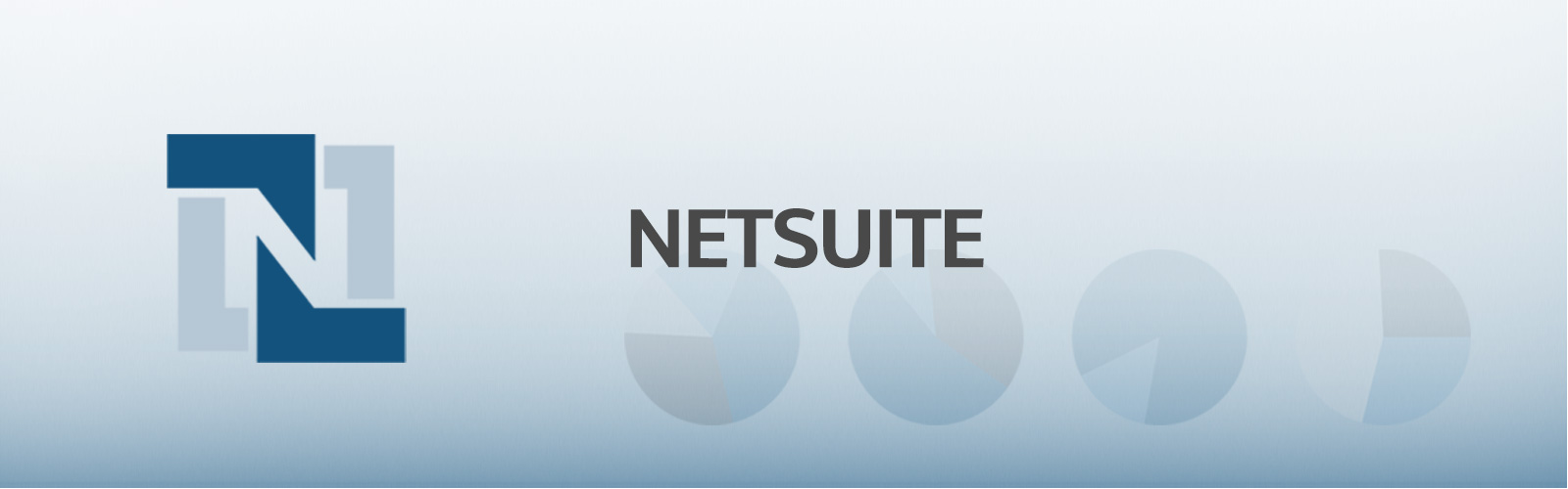 Netsuite Services banner